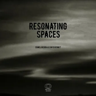 Resonating Spaces by Camila Nebbia