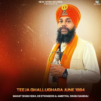 Teeja Ghallughara June 1984 by Amritpal Singh Sandhu