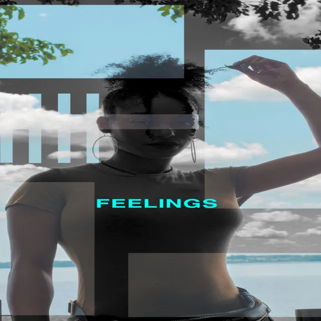 Feelings