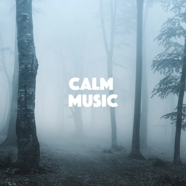 Calm Music