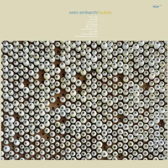 Hubris by Oren Ambarchi