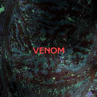 Venom by DXRTYTYPE