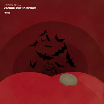 Vacuum Phenomenon by Kelton Prima