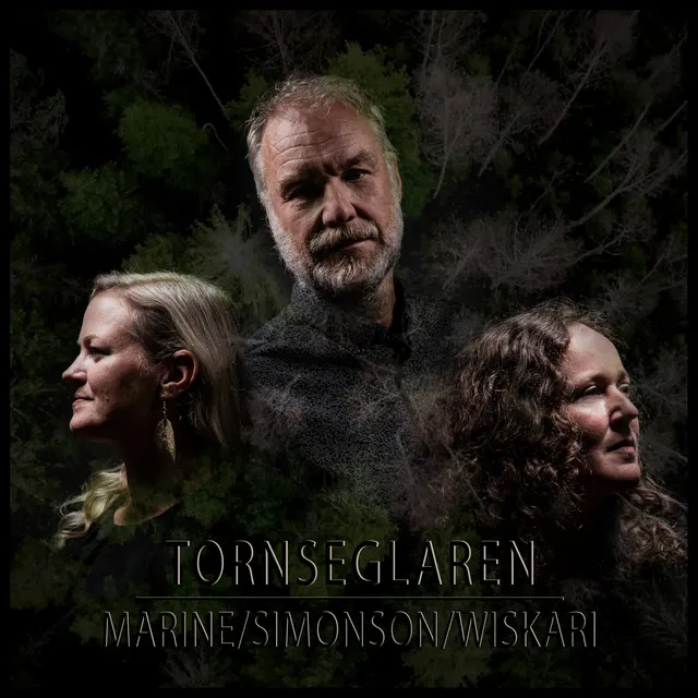 Tornseglaren