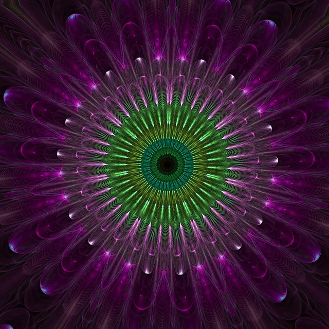 Meditation No 5