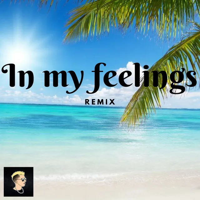 In My Feelings (Remix)