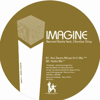 Imagine by Bernard Badie