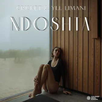 Ndoshta by Cricket