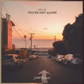 You're Not Alone by Koa Ko