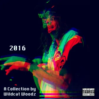 2016 by Wildcat Woodz