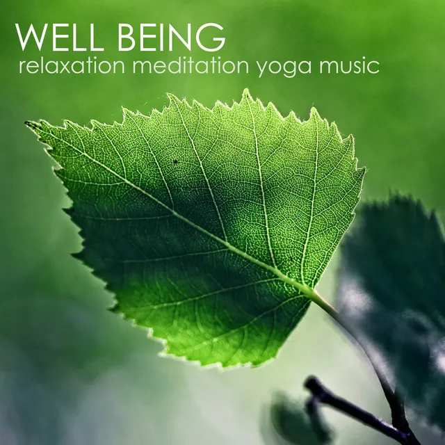 Well Being: Relaxation, Meditation and Yoga Music