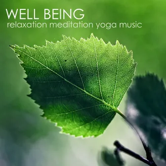 Well Being: Relaxation, Meditation and Yoga Music by Relaxation Meditation Yoga Music Masters