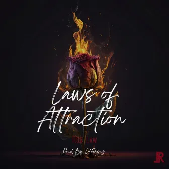 Laws of Attraction by Rob Law