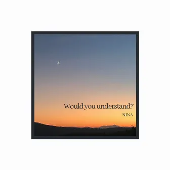 Would You Understand? by Nina