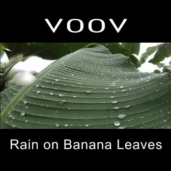 Rain on Banana Leaves by VOOV