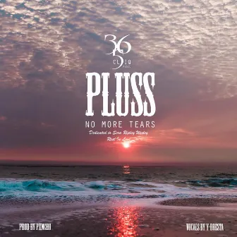 No More Tears by Pluss