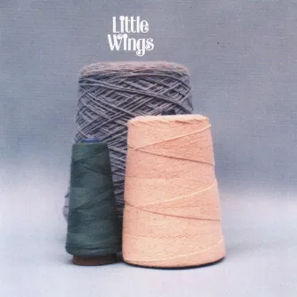 The Wonder City by Little Wings