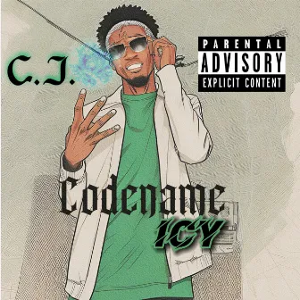 Codename ICY by C.J.