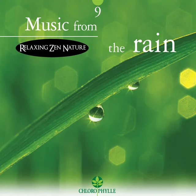 Chlorophylle 9: Music from the Rain