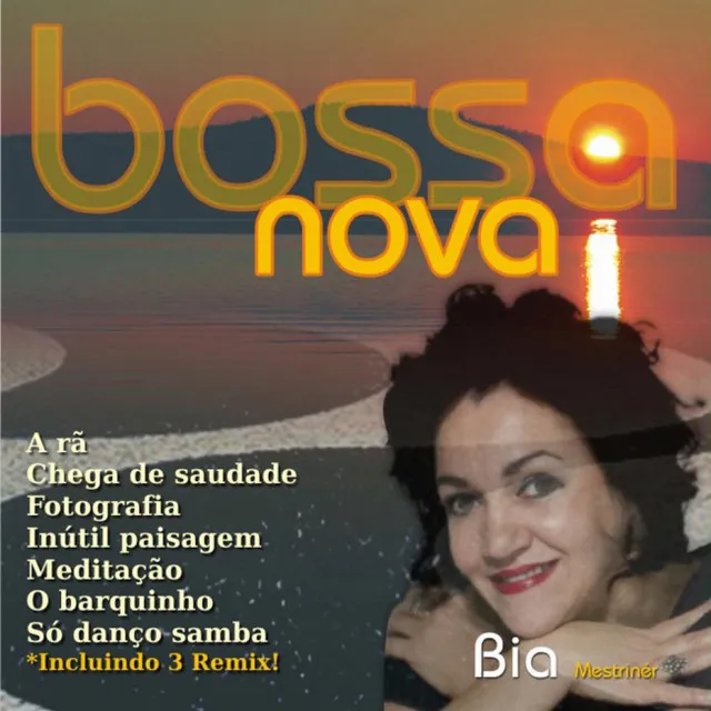 Só Danço Samba