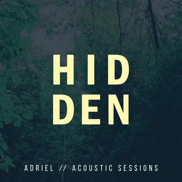 Hidden - Acoustic