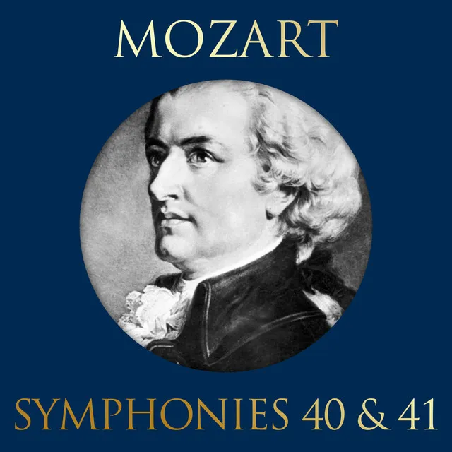 Symphony No.40 G Minor KV.550: Molto Allegro