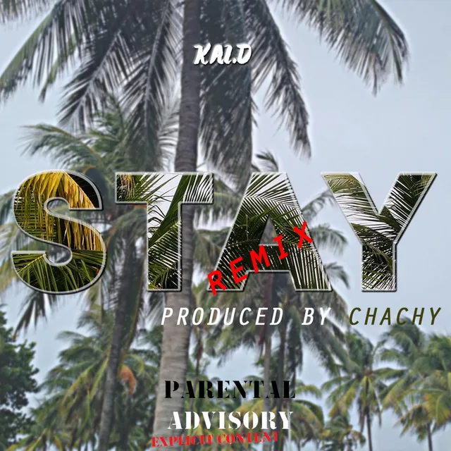 Stay - Remix