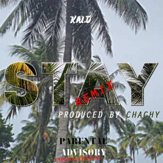 Stay (Remix) by Chachy