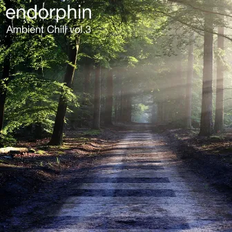 Ambient Chill Vol 3 by Endorphin