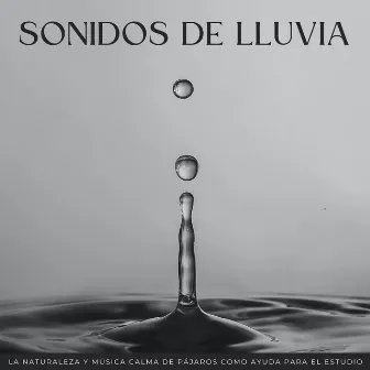 Sonidos De Lluvia: La Naturaleza Y Música Calma De Pájaros Como Ayuda Para El Estudio by Listas de reproducción de música relajante para estudiar