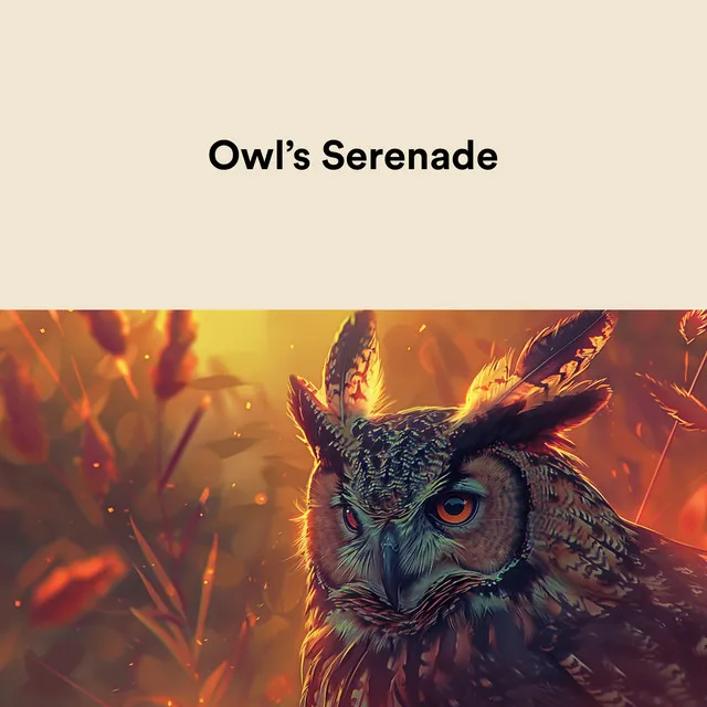 Owl's Serenade