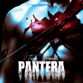 Pantera by TESS