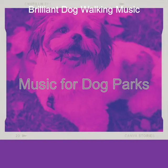 Music for Dog Parks