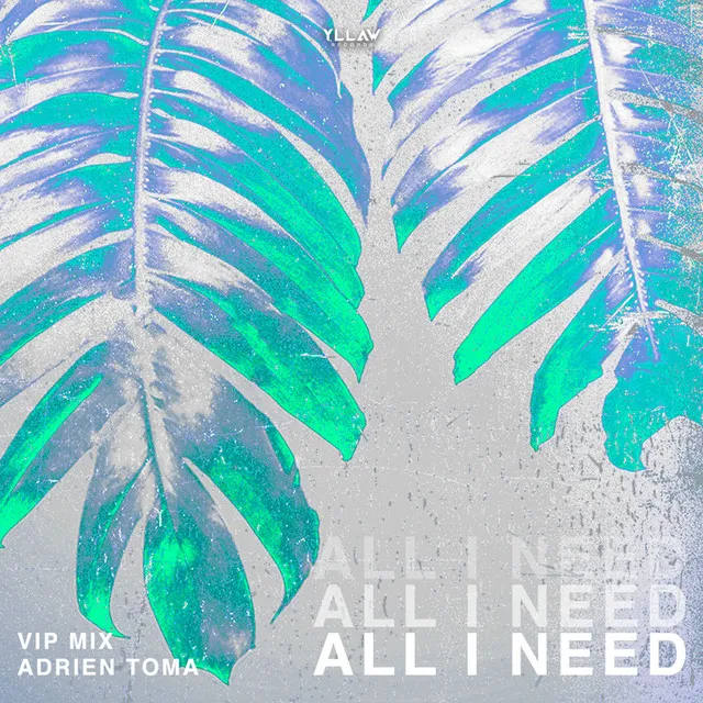 All I Need (Vip Remix)