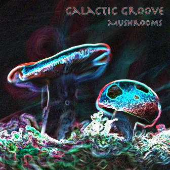 Mushrooms by Galactic Groove