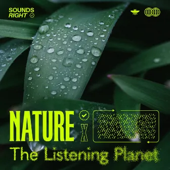 Nature's Rainfall Melodies by NATURE