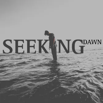 SEEKING DAWN by ADINO