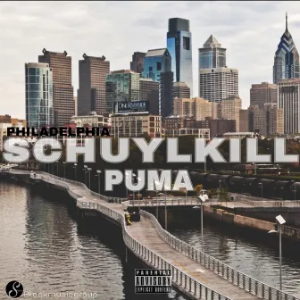 Philadelphia Schuylkill by Puma