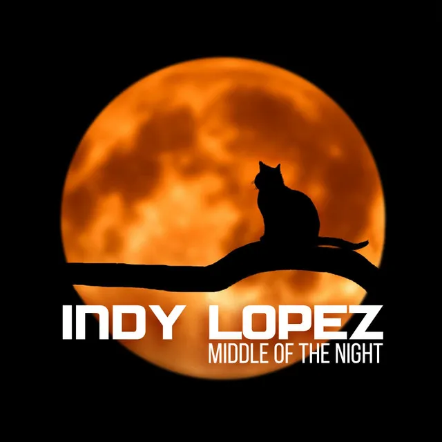 Middle Of The Night - Mr. Lopez Deep Mix