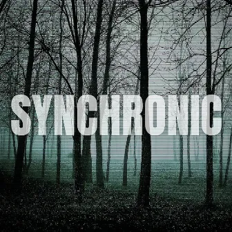 Synchronic by Drew Von Sheim