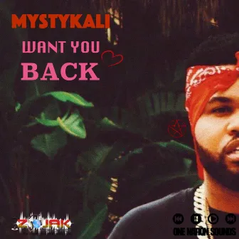 Want You Back - Single by Mystykali