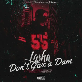 Don't Give a Dam by Losha