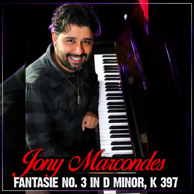 Fantasie No. 3 In D Minor, K 397