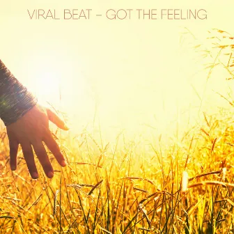 Got The Feeling by Viral Beat