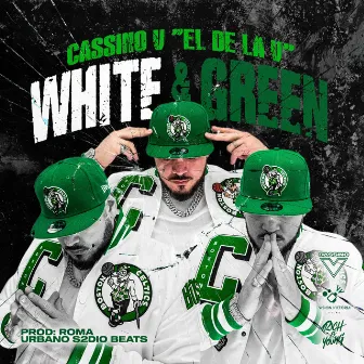 White and Green by Cassino V