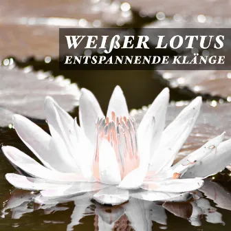 Weißer Lotus - Entspannende Klänge mit Weißem Rauschen und Geräusche aus der Natur by Retreat Trend