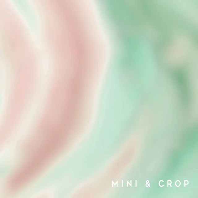 Mini & Crop - Speed Up