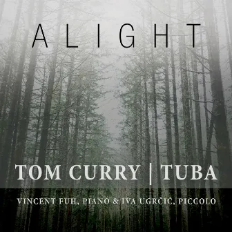 Alight by Tom Curry