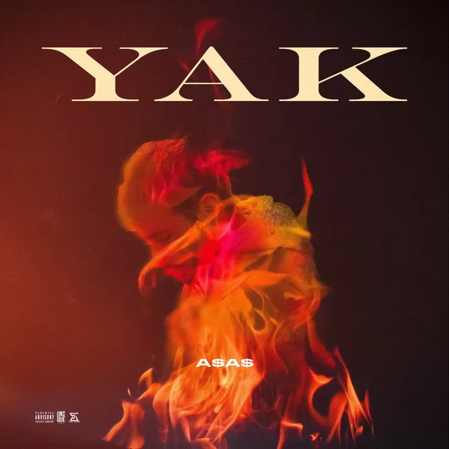 Yak