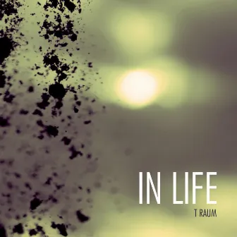 In Life by Traum